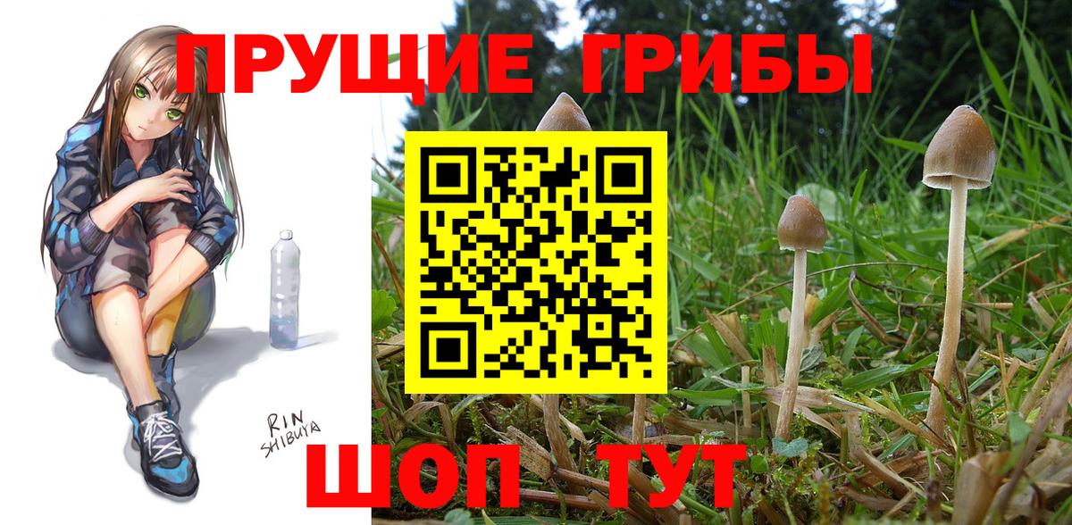 дарнет шоп  Вход с VPN  Саратов  Псилоцибиновые грибы MAGIC MUSHROOMS 