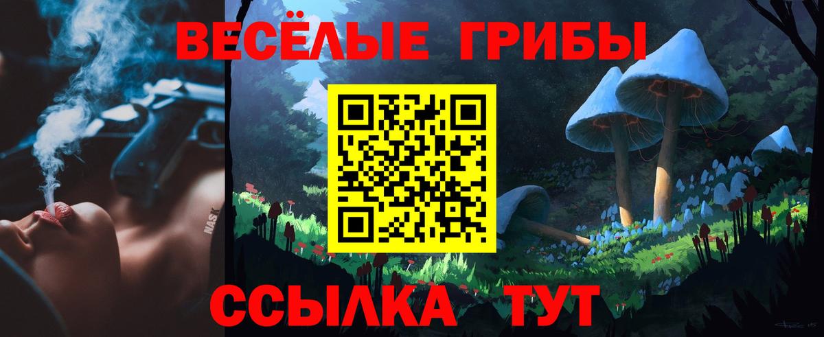 Псилоцибиновые грибы GOLDEN TEACHER Саратов